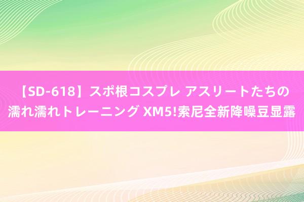 【SD-618】スポ根コスプレ アスリートたちの濡れ濡れトレーニング XM5!索尼全新降噪豆显露