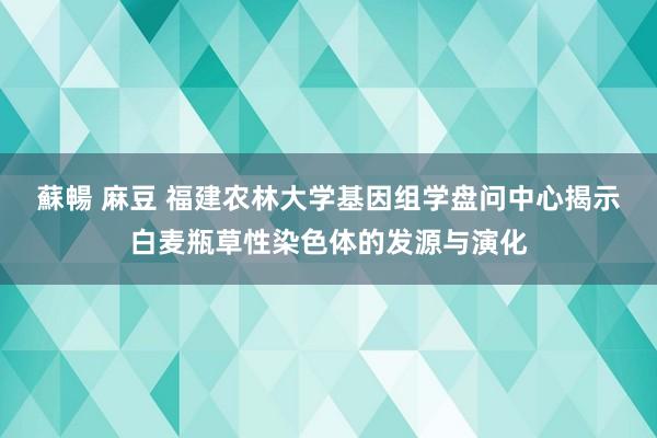 蘇暢 麻豆 福建农林大学基因组学盘问中心揭示白麦瓶草性染色体的发源与演化