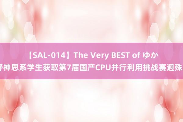 【SAL-014】The Very BEST of ゆか 野神思系学生获取第7届国产CPU并行利用挑战赛迥殊奖