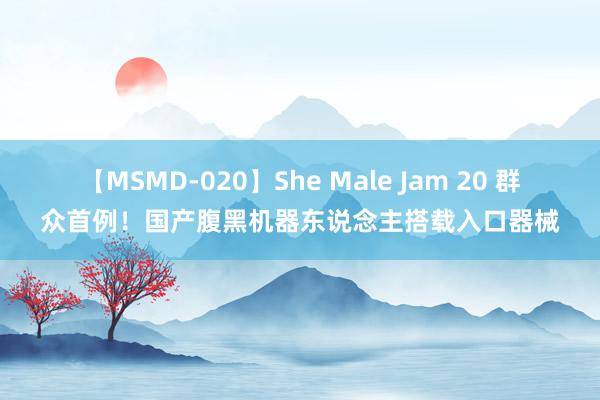 【MSMD-020】She Male Jam 20 群众首例！国产腹黑机器东说念主搭载入口器械