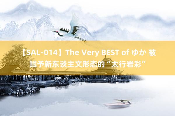 【SAL-014】The Very BEST of ゆか 被赋予新东谈主文形态的“太行岩彩”