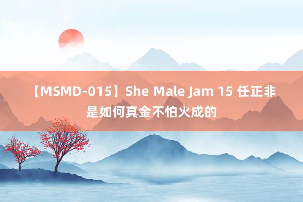 【MSMD-015】She Male Jam 15 任正非是如何真金不怕火成的