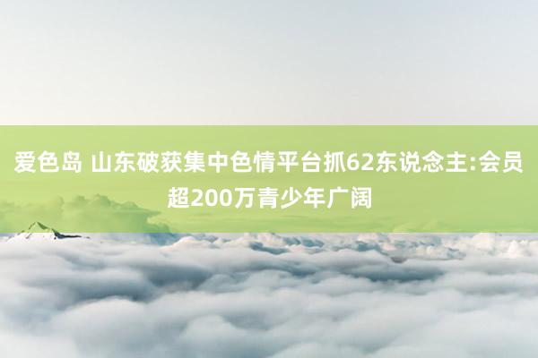 爱色岛 山东破获集中色情平台抓62东说念主:会员超200万青少年广阔