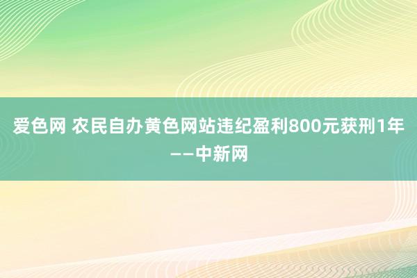 爱色网 农民自办黄色网站违纪盈利800元获刑1年——中新网