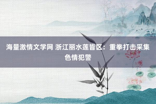 海量激情文学网 浙江丽水莲皆区：重拳打击采集色情犯警