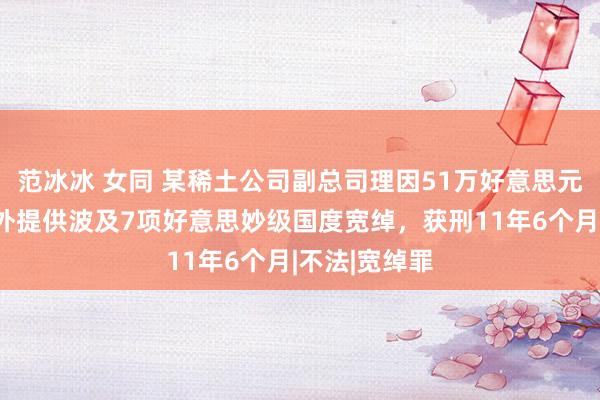 范冰冰 女同 某稀土公司副总司理因51万好意思元吸引，向境外提供波及7项好意思妙级国度宽绰，获刑11年6个月|不法|宽绰罪