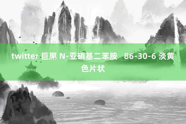 twitter 巨屌 N-亚硝基二苯胺   86-30-6 淡黄色片状